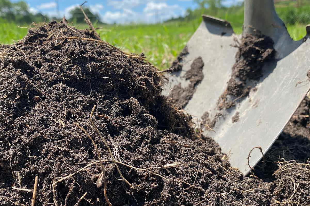 The Best Mulch for Your Vegetable Garden