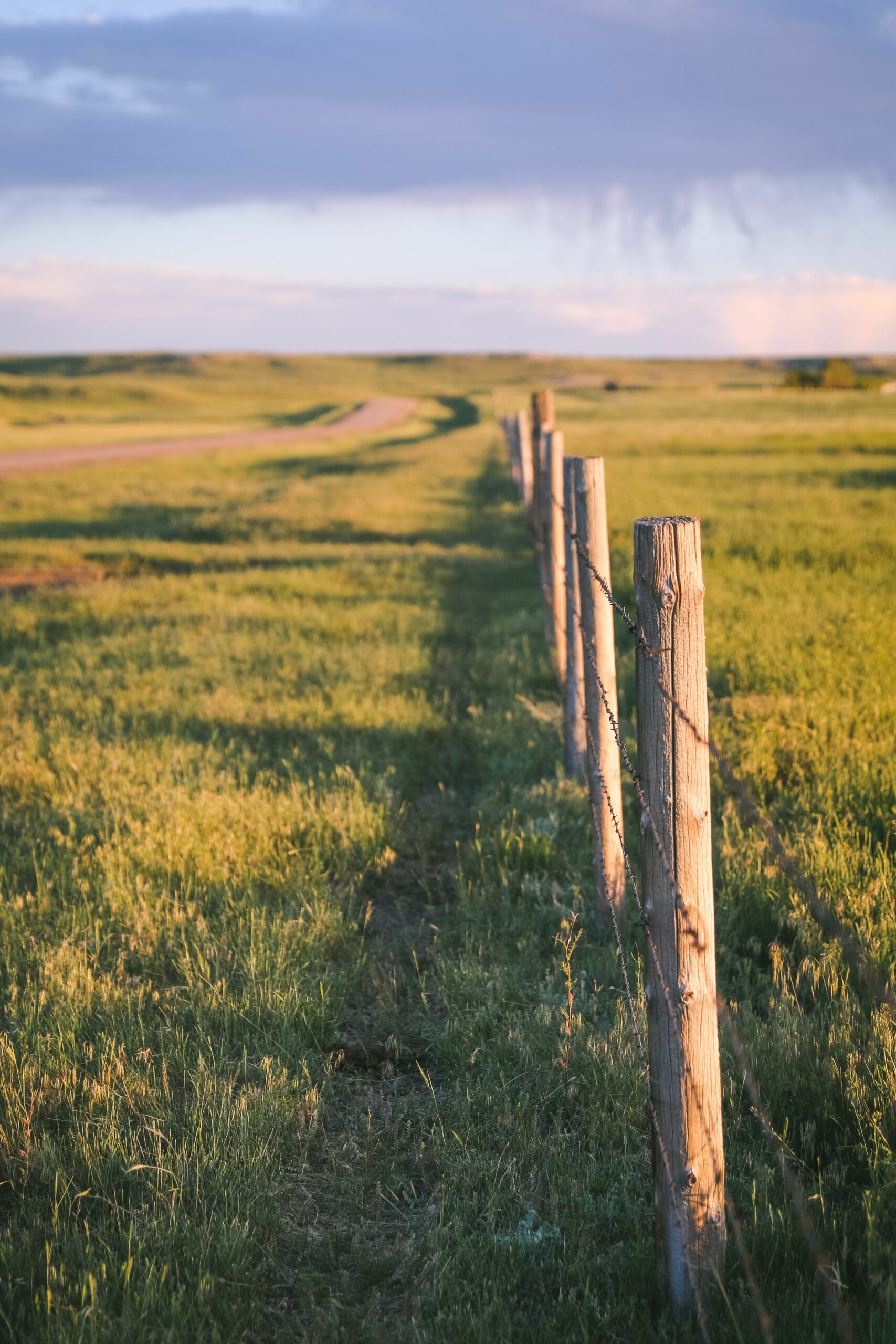 Debt Free Homestead Fence Line