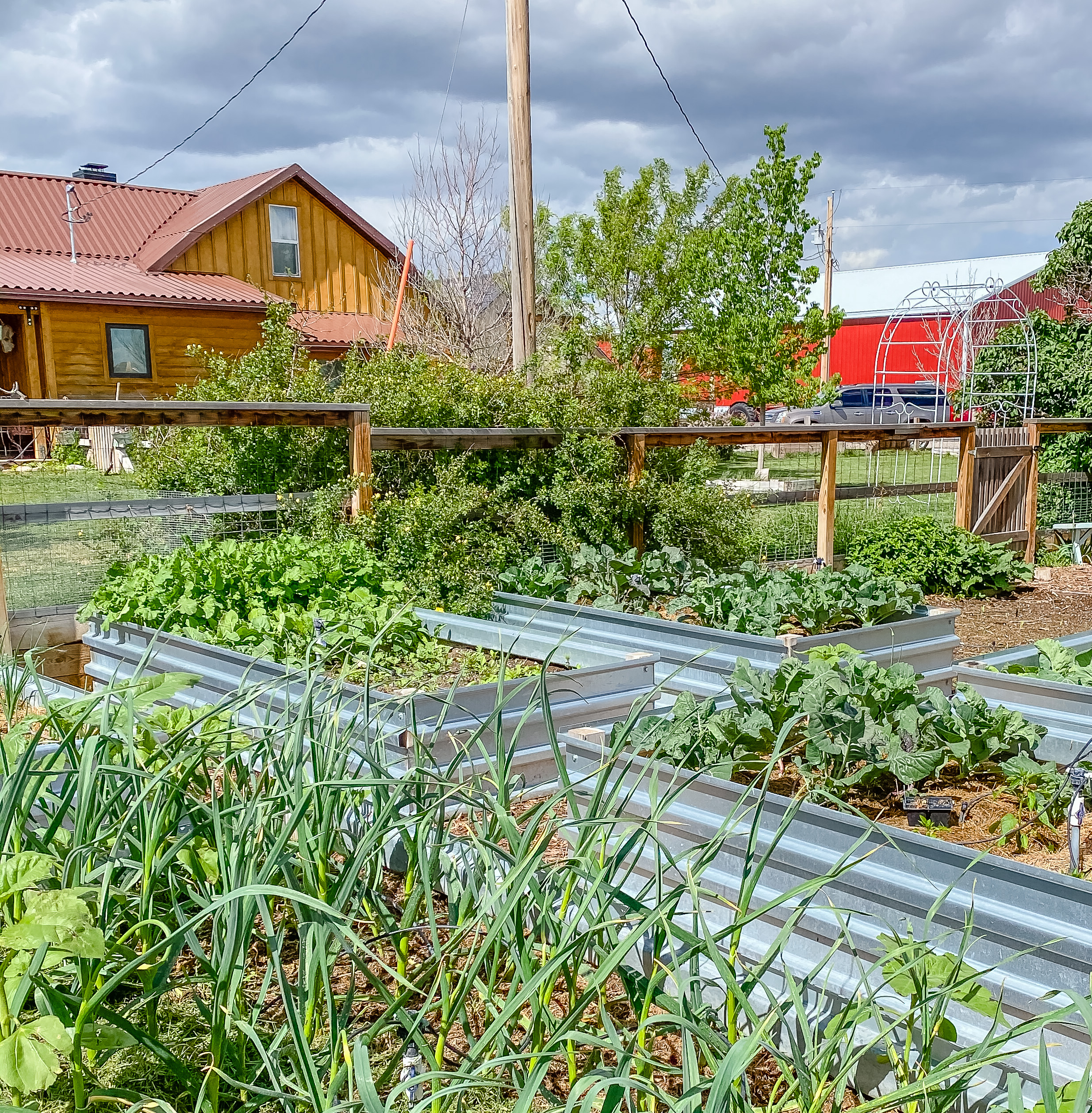 How I'm Letting My Garden Be Easy This Year