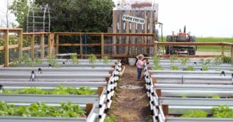 raised bed garden tour