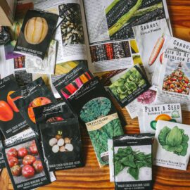 Grow Heirloom Seeds