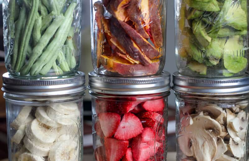 Preserving with a Freeze Dryer: Why I'm Giving Freeze Drying Another Try