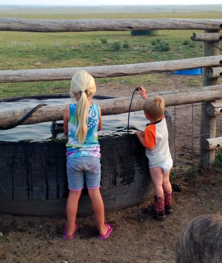 Our First Year of Homeschooling - science experiment | The Prairie Homestead