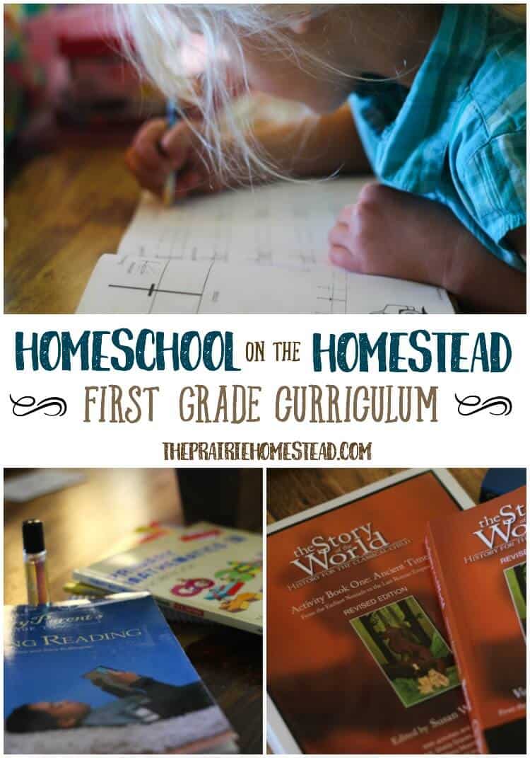 homeschooling on the homestead-- first grade