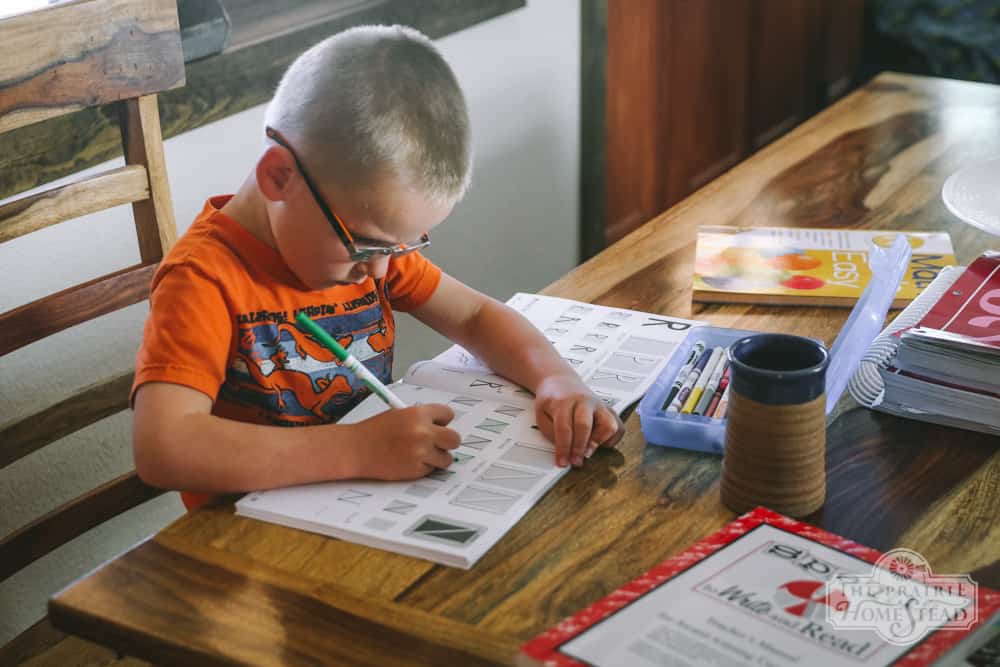 homeschooling on the homestead, second grade