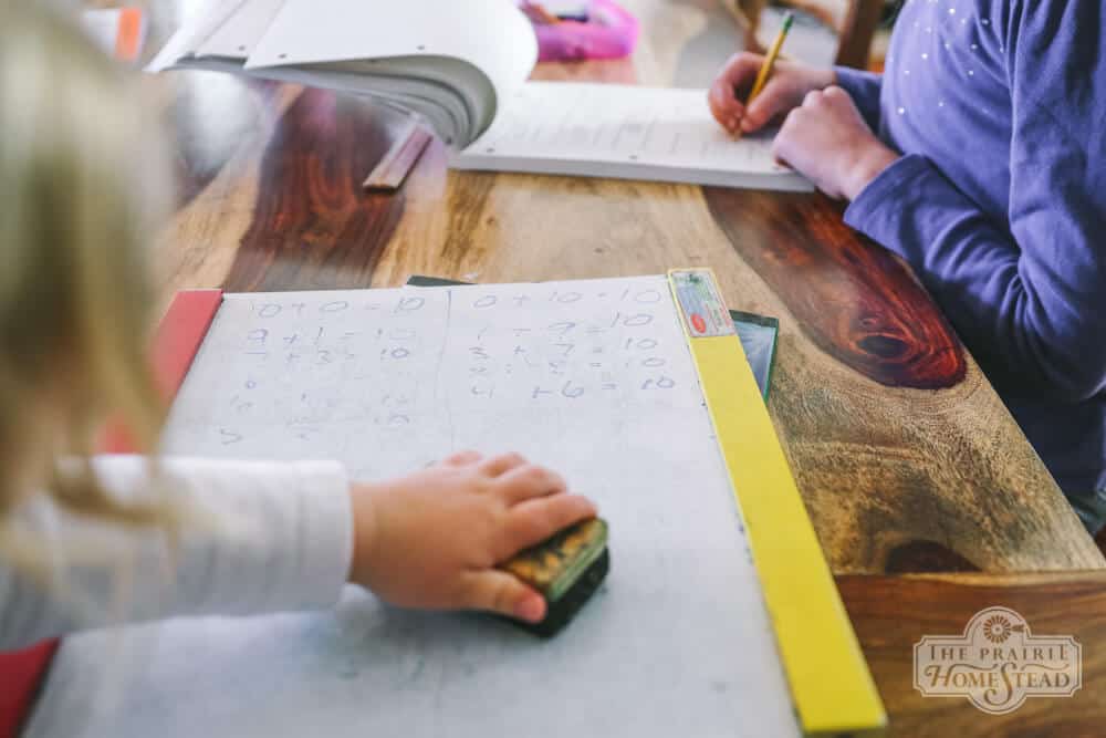 homeschooling on the homestead, second grade