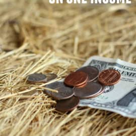 how to homestead on one income