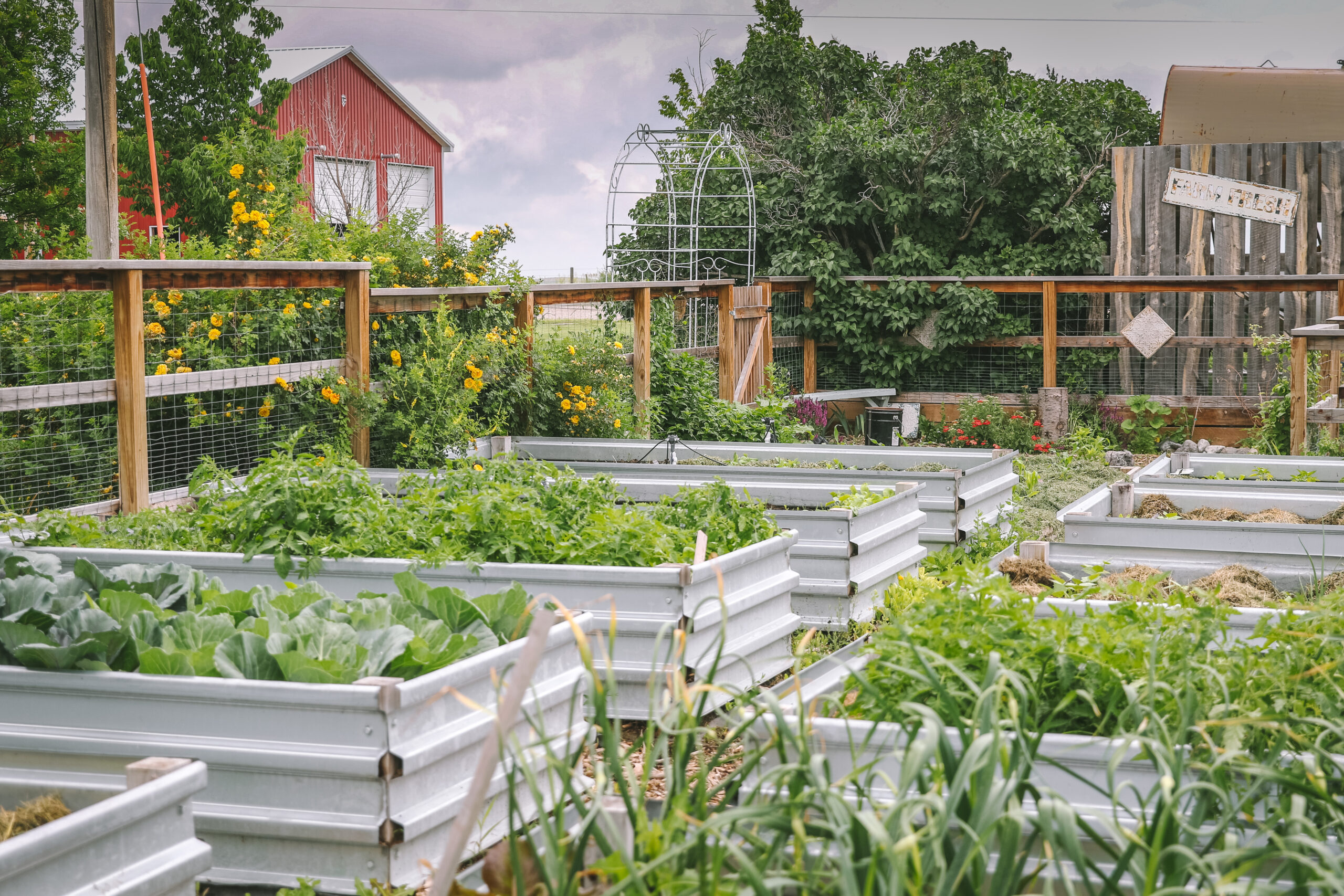 Homestead Reset Garden Example