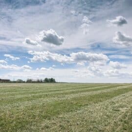 How to Create a Healthy Pasture