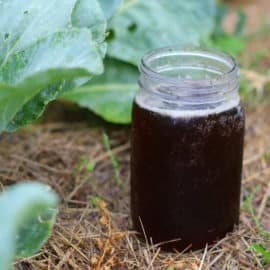 how to make compost tea