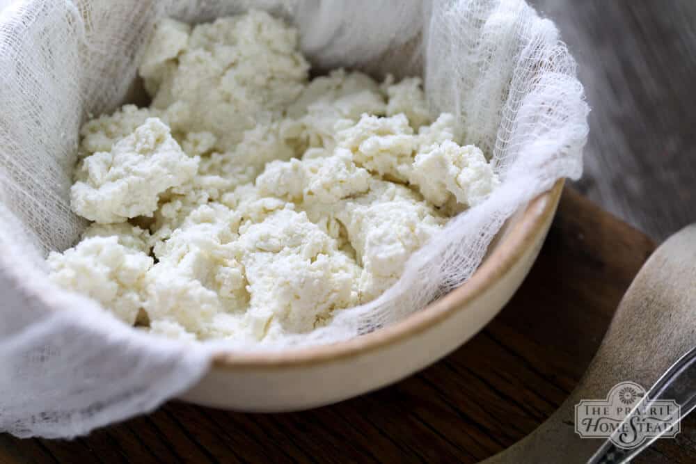 how to make ricotta cheese