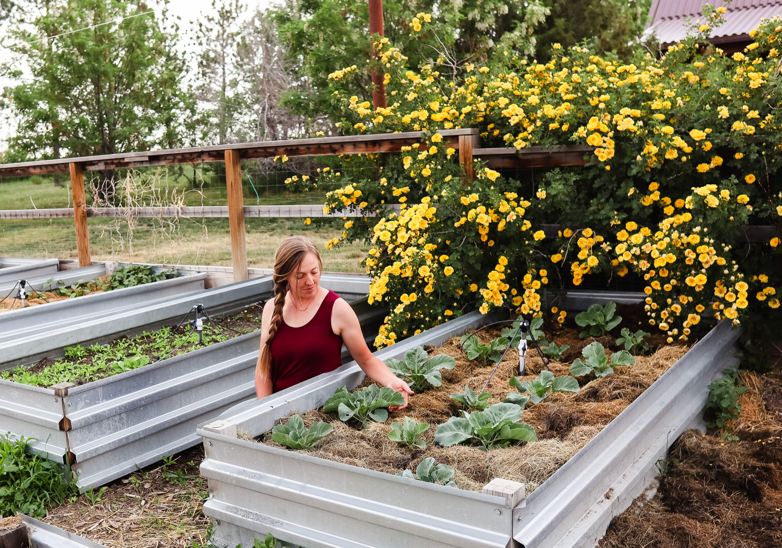 How I'm Letting My Garden Be Easy This Year