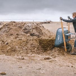 how to know if you're ready to start a homestead