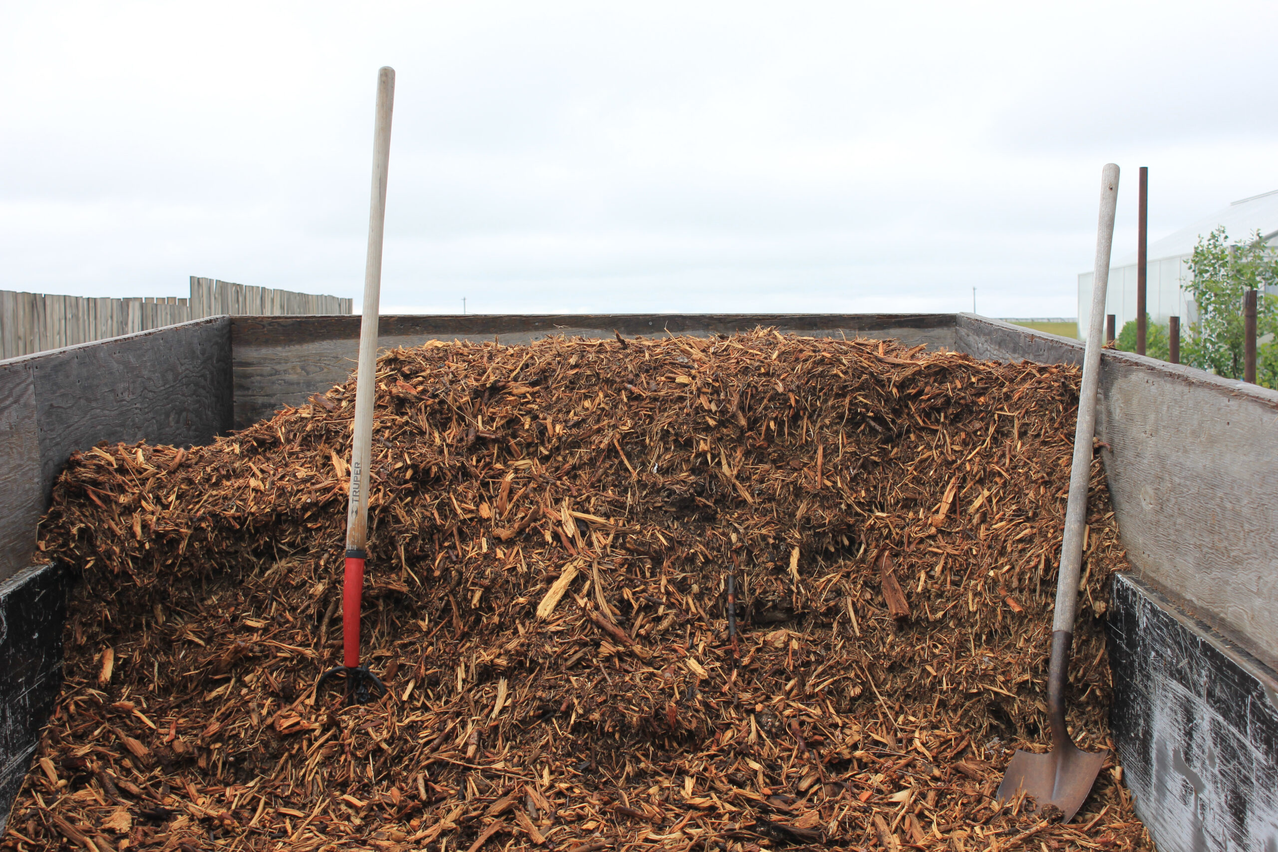 The Best Mulch for Your Vegetable Garden