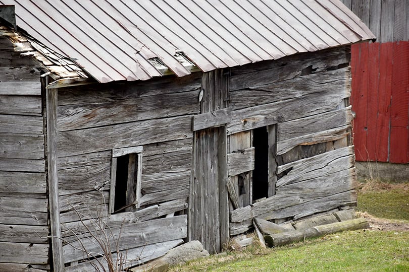 How to Afford a Homestead