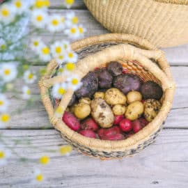 how to store potatoes