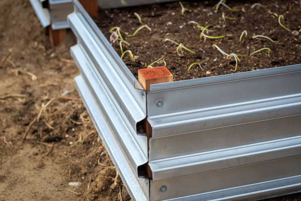 building raised bed gardens