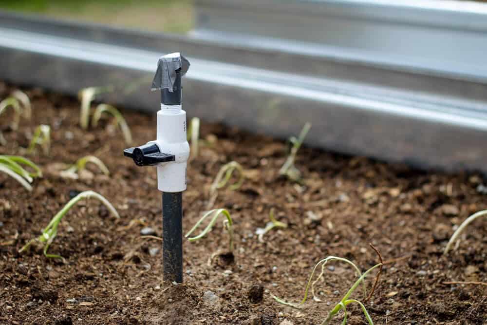 sprinkler system in raised bed garden