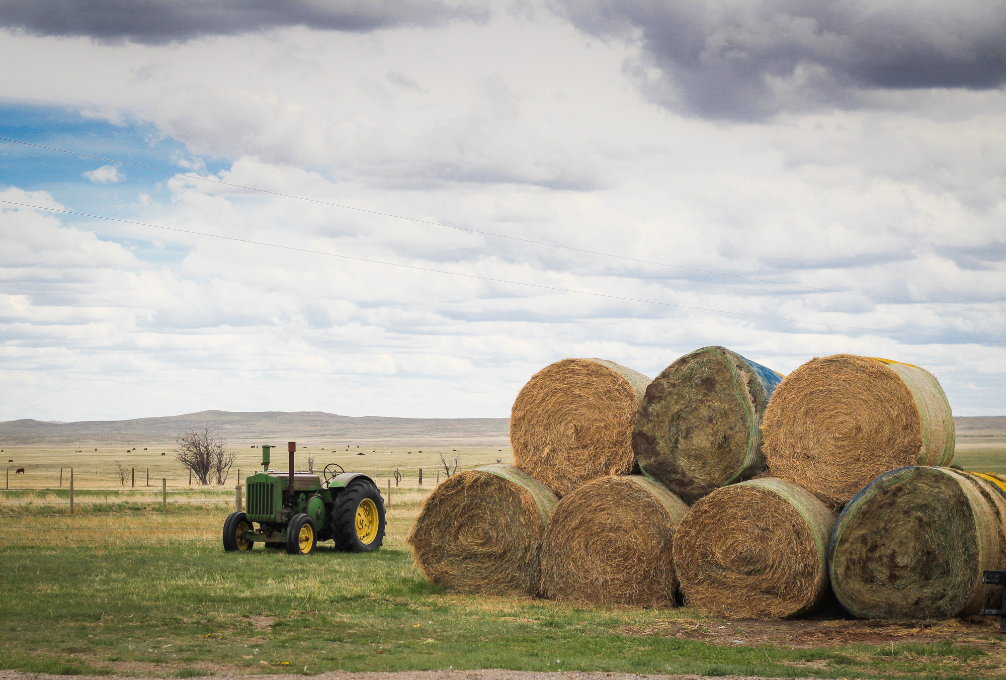 The Perfect Place to Homestead