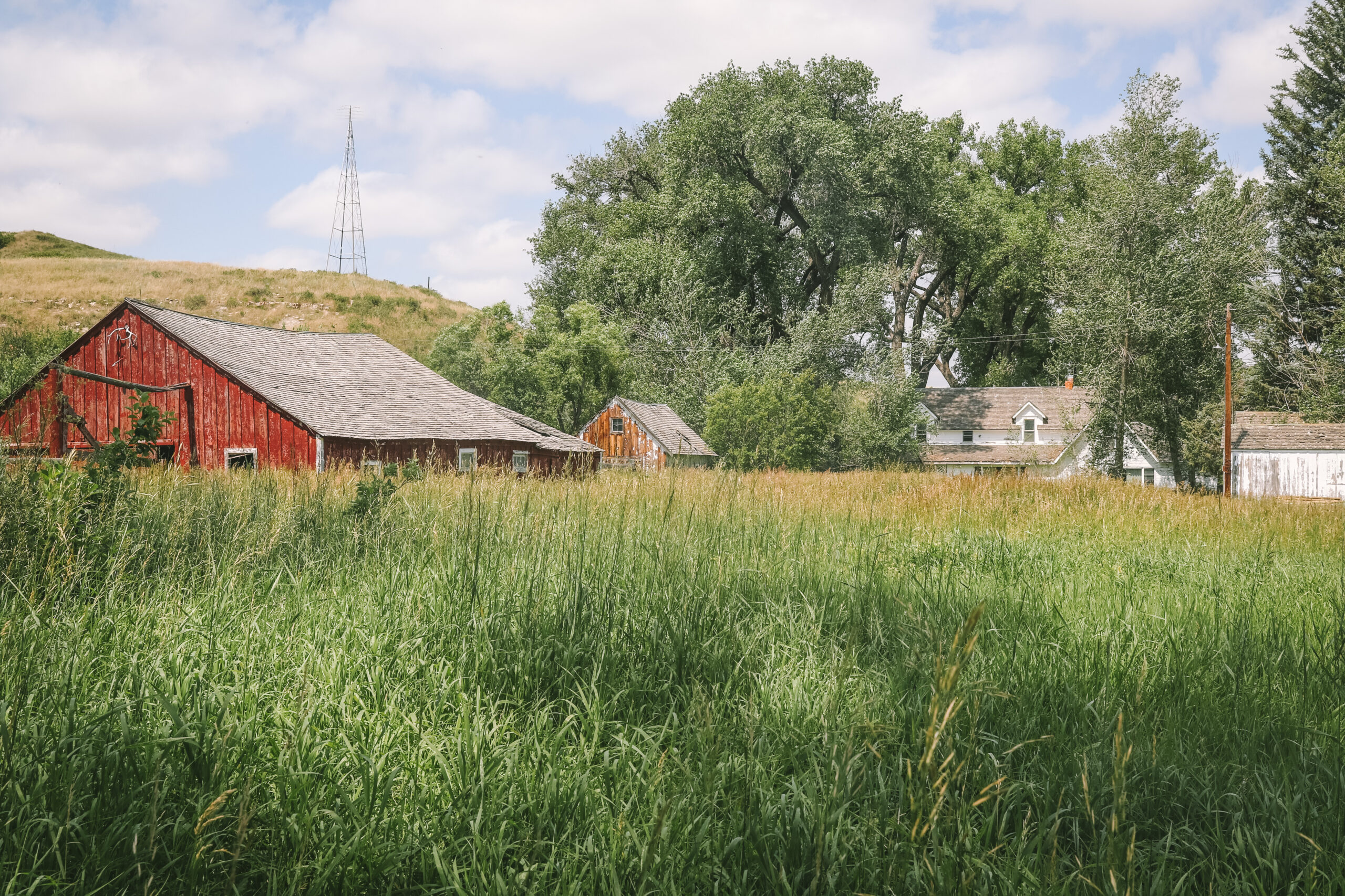 The Perfect Place to Homestead