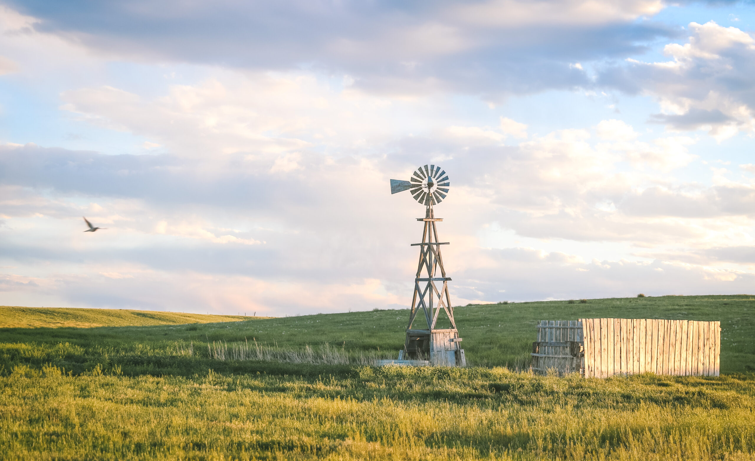 The Perfect Place to Homestead