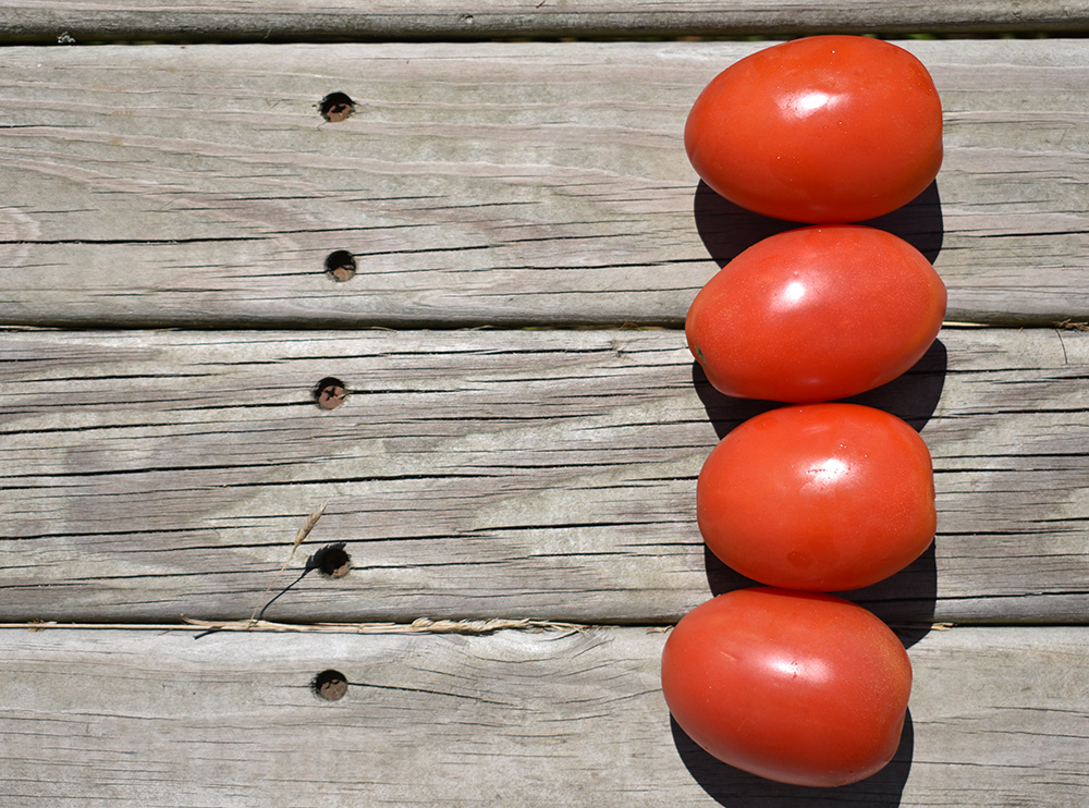 Opening a Roadside Stand | Tomatoes