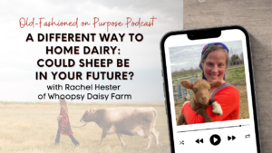 Season 15: Episode 11: A Different Way to Home Dairy: Could SHEEP Be in Your Future?