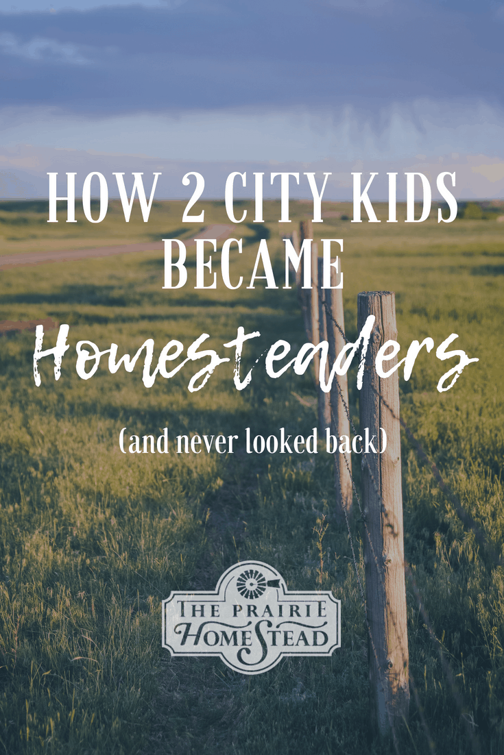 city kids turned homesteader