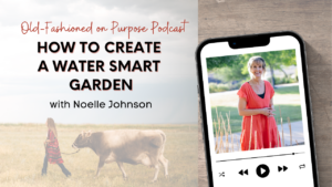 Season 17: Episode 6: How to Create a Water Smart Garden