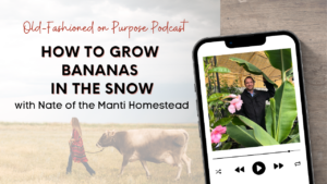 Season 14: Episode 19: How to Grow Bananas in the Snow