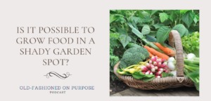 94. Is it Possible to Grow Food in a Shady Garden Spot?