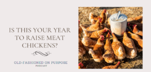 101.  Is This Your Year to Raise Meat Chickens?