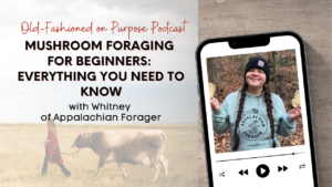 Season 17: Episode 5: Mushroom Foraging for Beginners: Everything You Need to Know