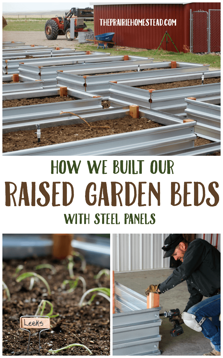 how we built raised garden beds with steel panels