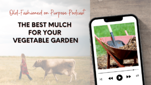 Season 15: Episode 1: Mulching Magic: Unlocking the Secrets to a Thriving Garden