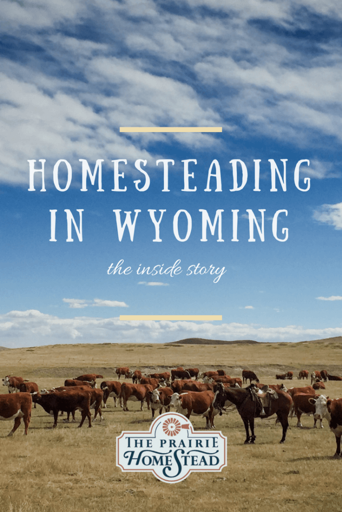 homesteading in wyoming