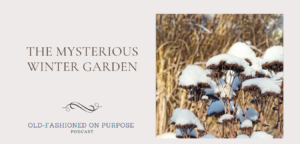 Season 3: Episode 10:  The Mysterious Winter Garden