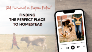 Season 15: Episode 5: The PERFECT Place to Homestead