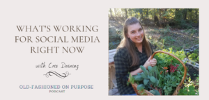 Season 5: Episode 6:  What’s Working for Social Media Right Now with Cris Daining