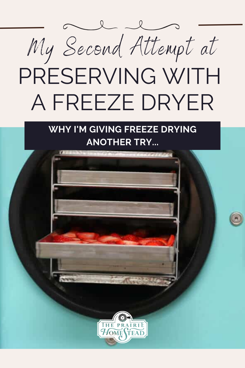 Preserving with a Freeze Dryer: Why I'm Giving Freeze Drying Another Try